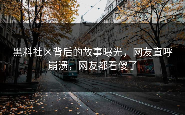 黑料社区背后的故事曝光，网友直呼崩溃，网友都看傻了