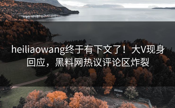 heiliaowang终于有下文了！大V现身回应，黑料网热议评论区炸裂