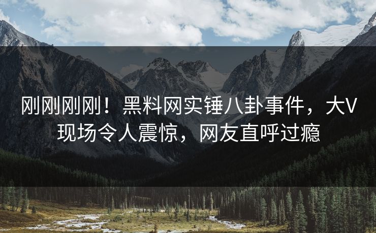 刚刚刚刚！黑料网实锤八卦事件，大V现场令人震惊，网友直呼过瘾