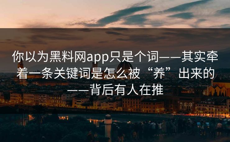 你以为黑料网app只是个词——其实牵着一条关键词是怎么被“养”出来的——背后有人在推